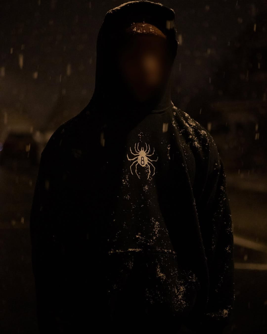 Hoodie SHIZUKU Oversize 🕷️